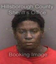 James Williams Info, Photos, Data, and More About James Williams / James Williams Tampa Area