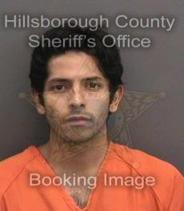 Sebastian Hormiga Baez Info, Photos, Data, and More About Sebastian Hormiga Baez / Sebastian Hormiga Baez Tampa Area