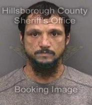 Shannon Paul Info, Photos, Data, and More About Shannon Paul / Shannon Paul Tampa Area