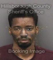 Damion Fitzgerald Info, Photos, Data, and More About Damion Fitzgerald / Damion Fitzgerald Tampa Area