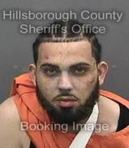 Liam Nicholson Info, Photos, Data, and More About Liam Nicholson / Liam Nicholson Tampa Area