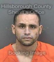 Steven Roman Info, Photos, Data, and More About Steven Roman / Steven Roman Tampa Area