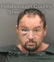 Robert Novak Info, Photos, Data, and More About Robert Novak / Robert Novak Tampa Area