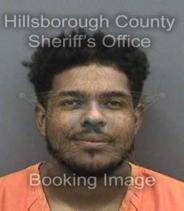 Nicholas Kyler Info, Photos, Data, and More About Nicholas Kyler / Nicholas Kyler Tampa Area