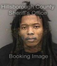 Tracy Robinson Info, Photos, Data, and More About Tracy Robinson / Tracy Robinson Tampa Area