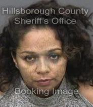 Sol Silva Info, Photos, Data, and More About Sol Silva / Sol Silva Tampa Area