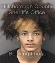 Noah Thomas Info, Photos, Data, and More About Noah Thomas / Noah Thomas Tampa Area