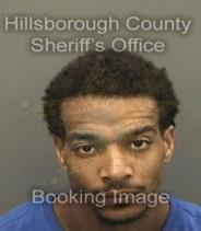 Mykel Wilson Info, Photos, Data, and More About Mykel Wilson / Mykel Wilson Tampa Area
