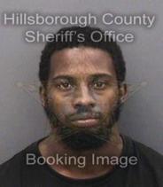 Malcolm Hill Info, Photos, Data, and More About Malcolm Hill / Malcolm Hill Tampa Area