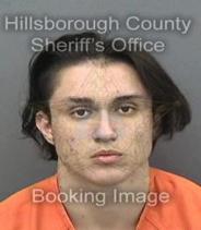 Andrew Sarvis Info, Photos, Data, and More About Andrew Sarvis / Andrew Sarvis Tampa Area