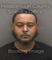 Alondrae Lofgren Info, Photos, Data, and More About Alondrae Lofgren / Alondrae Lofgren Tampa Area