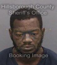 Lee Olar Info, Photos, Data, and More About Lee Olar / Lee Olar Tampa Area