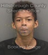 Christopher Blue Info, Photos, Data, and More About Christopher Blue / Christopher Blue Tampa Area