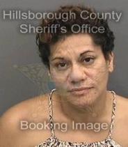 Wendy Toala Info, Photos, Data, and More About Wendy Toala / Wendy Toala Tampa Area