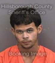 Jorge Sanchez-Elias Info, Photos, Data, and More About Jorge Sanchez-Elias / Jorge Sanchez-Elias Tampa Area