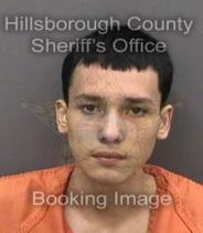 Elvis Gilfuentes Info, Photos, Data, and More About Elvis Gilfuentes / Elvis Gilfuentes Tampa Area