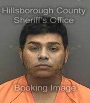Derek Ponce Info, Photos, Data, and More About Derek Ponce / Derek Ponce Tampa Area