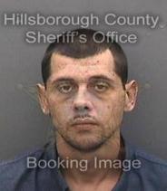 Andrew Tree Info, Photos, Data, and More About Andrew Tree / Andrew Tree Tampa Area