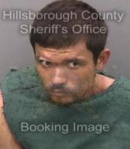Jacob Bergstrom Info, Photos, Data, and More About Jacob Bergstrom / Jacob Bergstrom Tampa Area