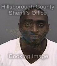 Christopher Ward Info, Photos, Data, and More About Christopher Ward / Christopher Ward Tampa Area