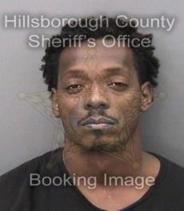 Steven Bebley Info, Photos, Data, and More About Steven Bebley / Steven Bebley Tampa Area