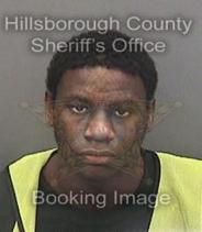 Lacorrin Calhoun Info, Photos, Data, and More About Lacorrin Calhoun / Lacorrin Calhoun Tampa Area