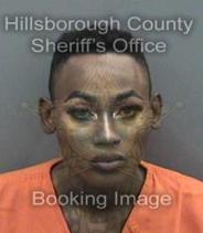 Michael Mcgruder Info, Photos, Data, and More About Michael Mcgruder / Michael Mcgruder Tampa Area