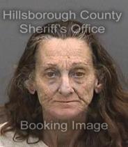 Janine Favata Info, Photos, Data, and More About Janine Favata / Janine Favata Tampa Area
