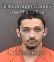 Mathew Torres Info, Photos, Data, and More About Mathew Torres / Mathew Torres Tampa Area