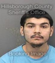Isaiah Hernandez Info, Photos, Data, and More About Isaiah Hernandez / Isaiah Hernandez Tampa Area