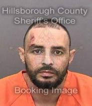 Elvis Perez Info, Photos, Data, and More About Elvis Perez / Elvis Perez Tampa Area