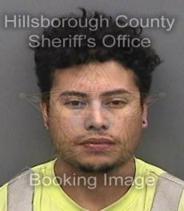 Marcus Terhune Info, Photos, Data, and More About Marcus Terhune / Marcus Terhune Tampa Area