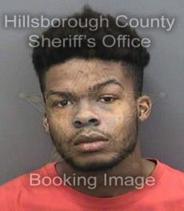 Donovan Johnson Info, Photos, Data, and More About Donovan Johnson / Donovan Johnson Tampa Area