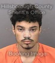 Alexander Ducot Info, Photos, Data, and More About Alexander Ducot / Alexander Ducot Tampa Area