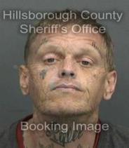 Dewayne Tomer Info, Photos, Data, and More About Dewayne Tomer / Dewayne Tomer Tampa Area