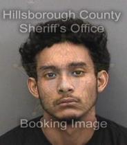 Guss Miranda Info, Photos, Data, and More About Guss Miranda / Guss Miranda Tampa Area