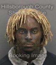 Clinton Adams Info, Photos, Data, and More About Clinton Adams / Clinton Adams Tampa Area