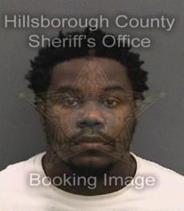 Mikol Vanright Info, Photos, Data, and More About Mikol Vanright / Mikol Vanright Tampa Area