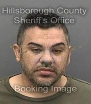 Norly Boschyera Info, Photos, Data, and More About Norly Boschyera / Norly Boschyera Tampa Area