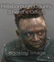 James Mayhue Info, Photos, Data, and More About James Mayhue / James Mayhue Tampa Area