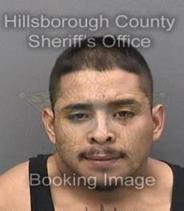 Daniel Martinez Info, Photos, Data, and More About Daniel Martinez / Daniel Martinez Tampa Area