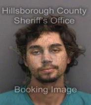 Tyler Netel Info, Photos, Data, and More About Tyler Netel / Tyler Netel Tampa Area