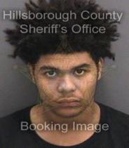 Armario Gilbert Info, Photos, Data, and More About Armario Gilbert / Armario Gilbert Tampa Area