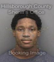 Darryl Robinson Info, Photos, Data, and More About Darryl Robinson / Darryl Robinson Tampa Area