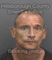 Michael Loness Info, Photos, Data, and More About Michael Loness / Michael Loness Tampa Area