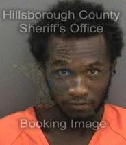 Malik Davison Info, Photos, Data, and More About Malik Davison / Malik Davison Tampa Area