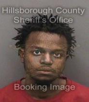 Ashne Petitfrere Info, Photos, Data, and More About Ashne Petitfrere / Ashne Petitfrere Tampa Area