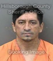 Gabriel Vertiz Info, Photos, Data, and More About Gabriel Vertiz / Gabriel Vertiz Tampa Area