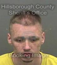Dakota Schroeder Info, Photos, Data, and More About Dakota Schroeder / Dakota Schroeder Tampa Area