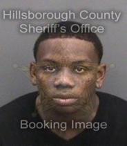 Andre Johnson Info, Photos, Data, and More About Andre Johnson / Andre Johnson Tampa Area